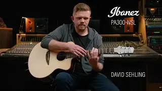 Ibanez PA300-NSL - David Sehling