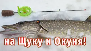 Универсальная приманка на Щуку и Окуня зимой!