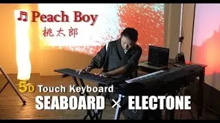 桃太郎 -Peach Boy- | Seaboard + Electone | Japanese-soul keyboard performer YUSUKE YABUI