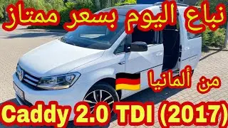 من ألمانيا 🇩🇪 خوتنا عمار و العربي مبروك عليكم Caddy