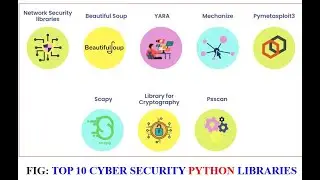 TOP 10 CYBER SECURITY PYTHON LIBRARIES