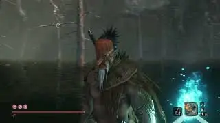 How to get skins in Sekiro