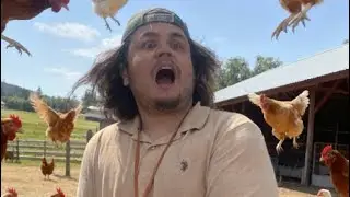 20 Nug Challenge 