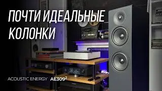 Напольники без недостатков Acoustic Energy AE309 2