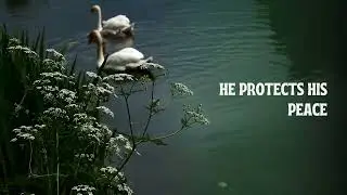 Protects his peace.. #subscribe #motivation #viralshorts #viralvideo #protectyourpeace  #noonvibes