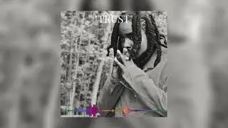 TRUST - WALE x BIG SEAN x SAMPLE Type Beat 2022