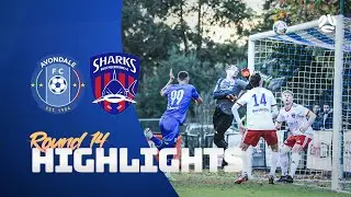 BIG BOY BRICE &ndash; Round 14 Highlights v Port Melbourne Sharks