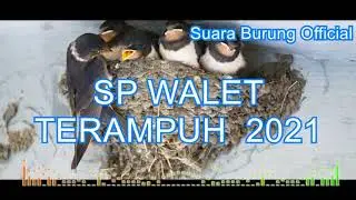 SP WALET TERAMPUH 2021