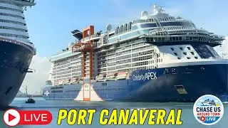 🔴 LIVE: Watching the Cruise Ships Leaving Port Canaveral LIVE! (Feb. 14, 2026)