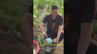 Lagu Baru Sadad Ali Reng Madhureh #mutiarand #lagumadura