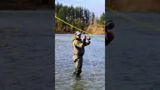 Spey Casting In The Pacific Northwest #flyfishing #shorts #outdoors