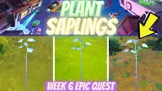Plant *SAPLINGS* at Stumpy Ridge, Fork Knife Food Truck, or FN Radio in Fortnite! 🌱