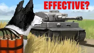 Effectiveness of Soviet Anti-Tank Dogs