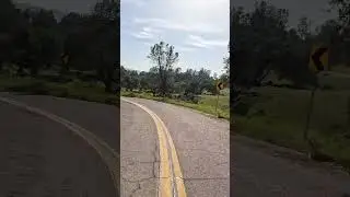 Foothill back roads #Harley-Davidson