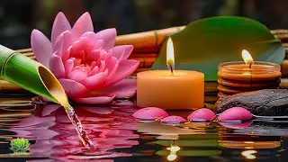 Healing Piano Music &ndash; Stop Overthinking, Stress Relief Sounds for Sleep and Relaxation