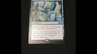Magic the Gathering Card Spotlight Back to Basics