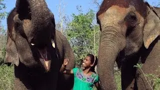 The Elephant Whisperer