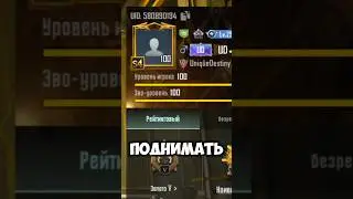 Как поднять 100 уровень в пабге?