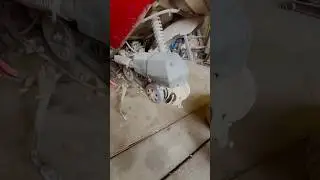 Российский бренд резины. Как вам название?