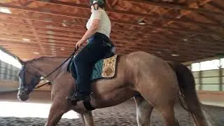Julie and Reba english 7.18.20