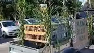 MrKris122 nadaje na żywo - PZHGP 0122 Jastrzębie-Zdr&oacute;j sekcja Bzie.