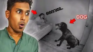THE DOG IS A GHOST | Horror Video | THIS GIRL IS IN DANGER😮😮