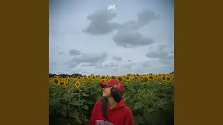 Sin Sentido