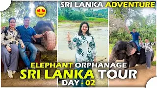 Elephant Orphanage | Sri Lanka Adventure | Sri Lanka Tour Day - 02