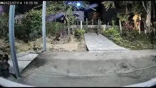 Elephant attacks human caught on CCTV
