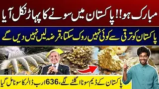 Massive Gold Discovery At Tarbela Dam - Global Companies Rush for Contracts | City 41