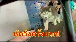 จับข้าวสากหัดวิ่งลู่วิ่งออกกำลังกายครั้งแรก!