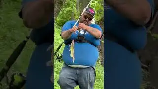 Catfishing with dip bait #catfishingtips #rivercatfishing#6thsensefishing #pigpatroltv#riverfishing