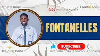 Fontanelles Made Easy | Anterior, Posterior & Clinical Importance (Anatomy)