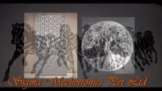 Fiber Laser Cutting Machine Samples Video