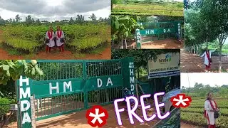 HMDA , government nursery @ghatkesar || free plants|| Telangana Harithaharam || any one can visit .