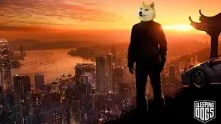 Cainiadormiti.mp4