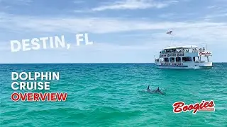 Dolphin Cruise Overview