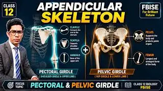 Appendicular Skeleton | Pectoral and Pelvic Girdles | Class 12 FBISE New Biology