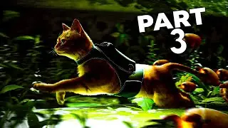 GETTING OUT OF THE SLUMS....| STRAY PART 3