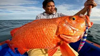 STRIKE IKAN MAHAL IKAN SANGAT LANGKAH