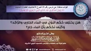 هل يختلف حكم البول في الماء الجاري والراكد؟ | الشيخ محمد المختار الشنقيطي