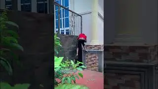 When Power overtakes Authority🤣&hellip; #comedy #funny #memes #1kcreater #1ksubscribers #formulahimself