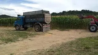 MF292 + JF92 com 10 facas na silagem de milho e 7630s100 na JF92