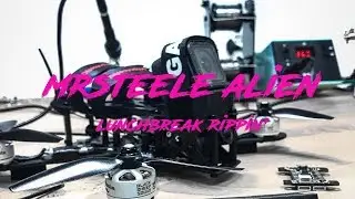 Mr Steele Alien Lunchbreak Ripping [Vol. 1]