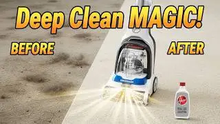 Hoover PowerDash Pet Compact &ndash; The Small Carpet Cleaner That Does BIG Work!