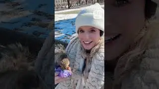 Squirrel Gets Crumbs