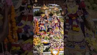 Mango Festival Darshan of the Lord. iskcon delhi 11000kg mango offered to the Lord.