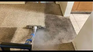Staten Island Carpet Cleaning