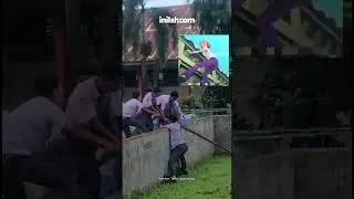 Totalitas! Momen Para Siswa SMA Selamatkan Kucing, Netizen: Telfon Mereka Kalo Damkar Sibuk
