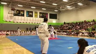 Tae E. Lee - May 2019 Demo